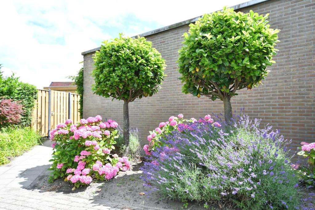Vrijvakantiehuis Houtenburgseweg 2 Zoutelande Esterno foto